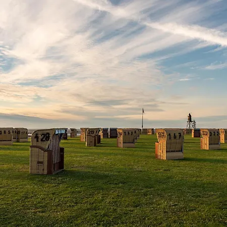 Vogelsand 07 * Dorumer Neufeld