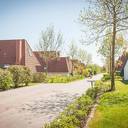 Vogelsand 07 Dorumer Neufeld