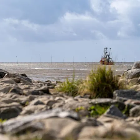 Vogelsand 07 Σπίτι διακοπών