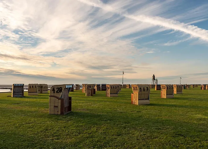 Vogelsand 07 * Dorumer Neufeld